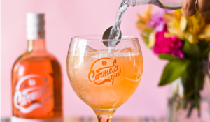 CUCHARA GIN-TONIC