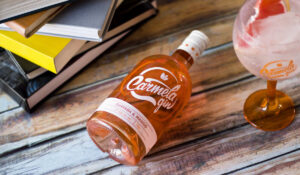 Libros Ginebra Carmela Gin